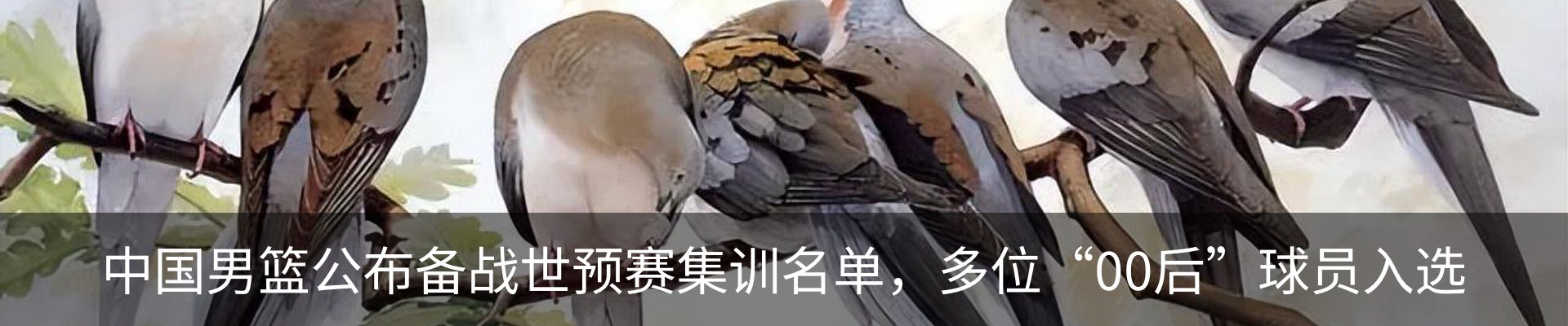 最新动态